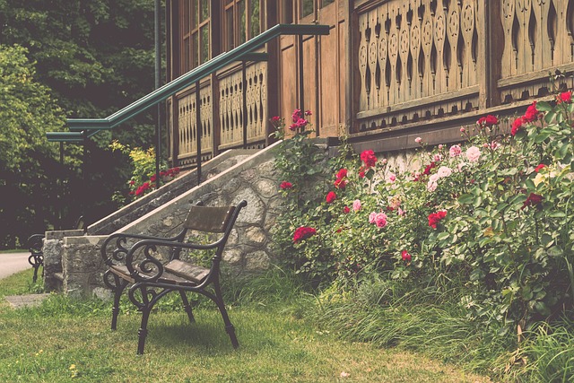 牛崭露头角 牛崭露头角