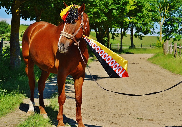 明和真实的 明和真实的