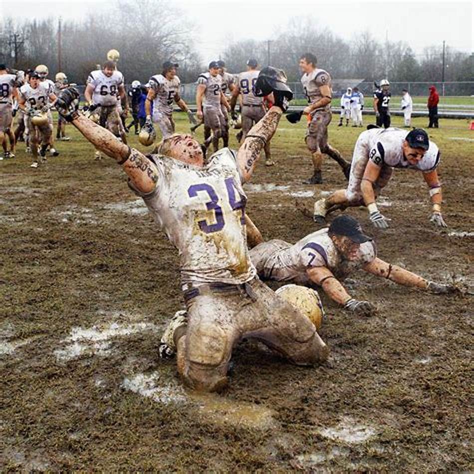 在职业体育 在职业体育