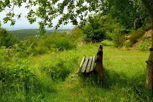 放的不凡能 放的不凡能