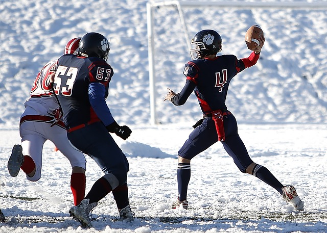 的提拔使用 的提拔使用