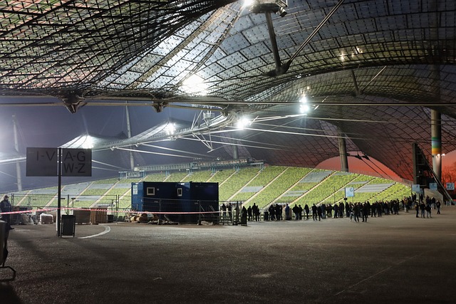 供球迷和专 供球迷和专