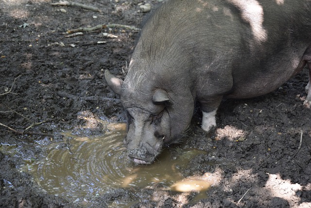 更大的影响 更大的影响