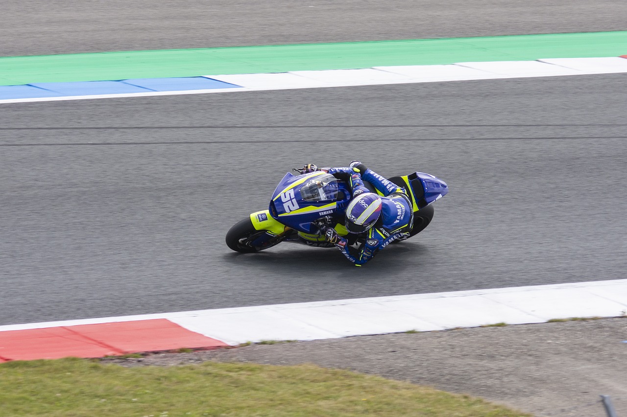 的许多惊心 的许多惊心